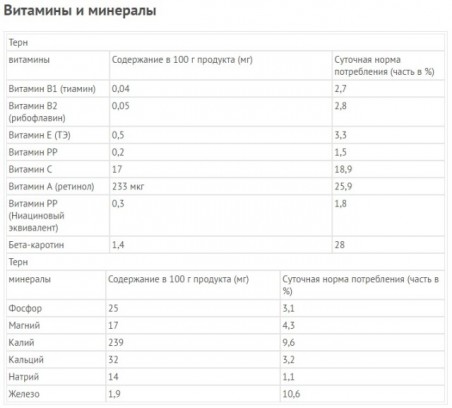 Полезные свойства терна