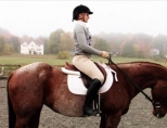 Как научиться ездить на лошади