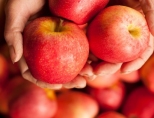 Можно ли похудеть на яблоках