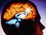 Как развить правое полушарие мозга?