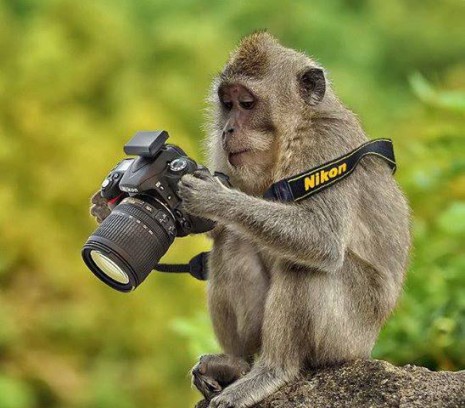 Как правильно фотографировать зеркальным фотоаппаратом