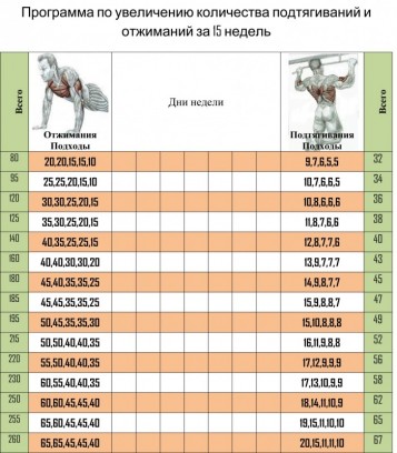 Программа тренировок с подтягивания