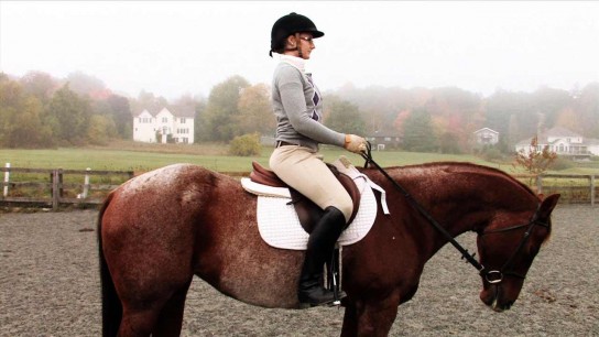 как научиться ездить на лошади