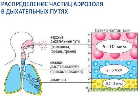 Задачи ингалятора-небулайзера