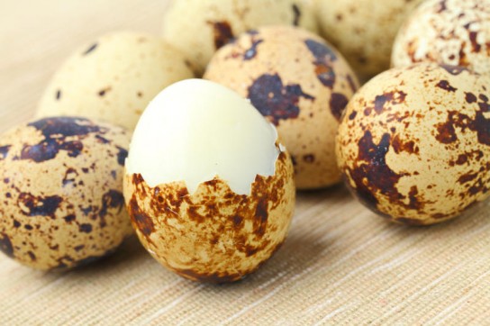 Польза перепелиных яиц возможный вред для здоровья! 