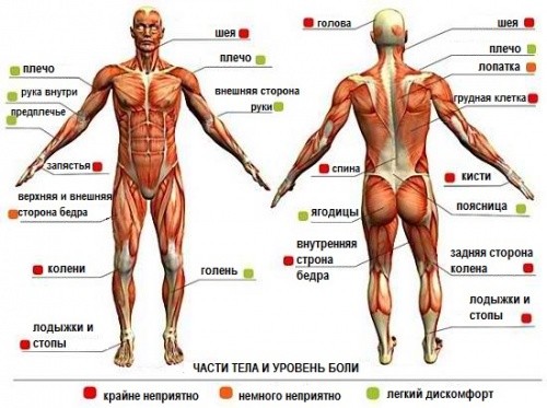 Боли в зависимости от места нанесения