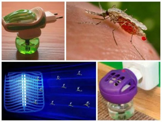 Народные средства при борьбе с комарами