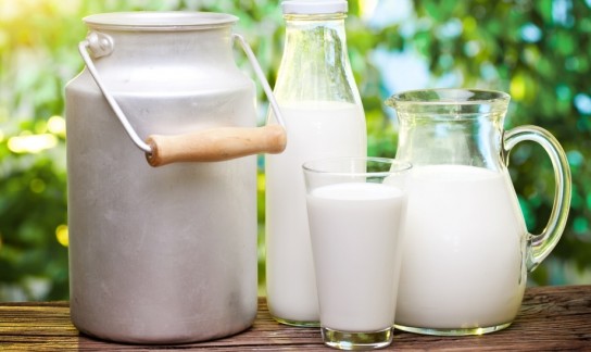 Особенности козьего молока