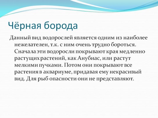 Как бороться с черной бородой в аквариуме?