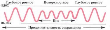 Таблица видов дыхания