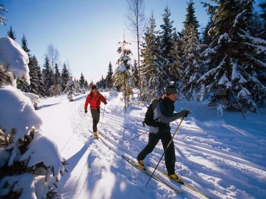 Выбор лыж в зависимости от целевого предназначения