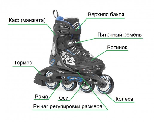 Разновидности роликовых коньков