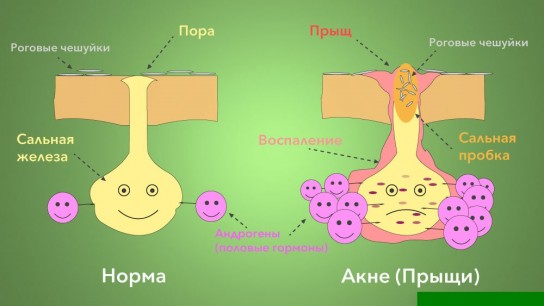 Тандем меда с аспирином