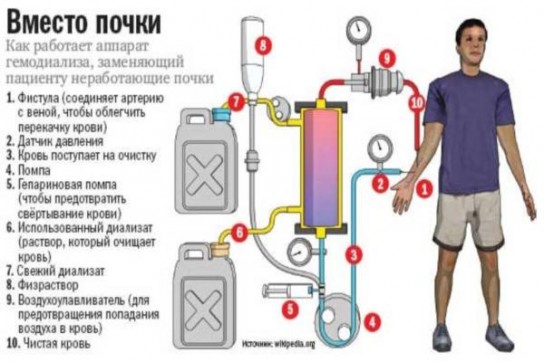 Условия ведения процедуры