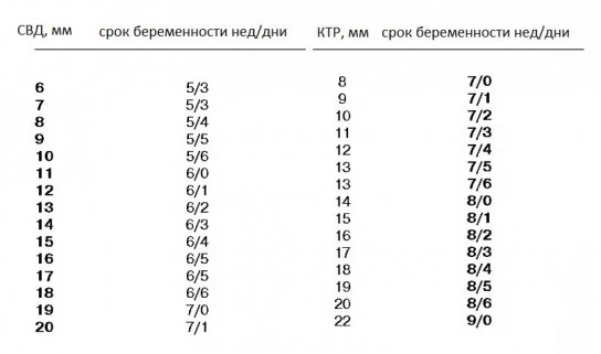  Как определить день зачатия?