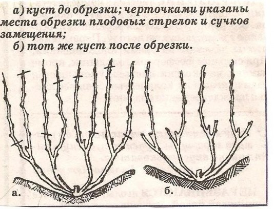 Что делать весной?