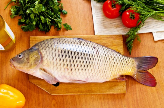 Чем полезна рыба при кормлении грудью?