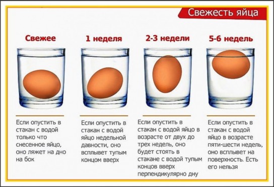 Домашние методы определения качества яиц