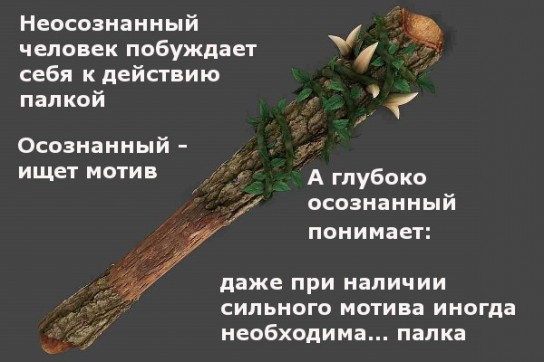 Не хочу работать вообще: что делать? Что делать, если не хочется работать?