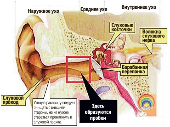 Что делать, если в ухо попала вода?